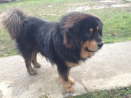 ZERO Henriet´s garden,(DJEGO x RIA)